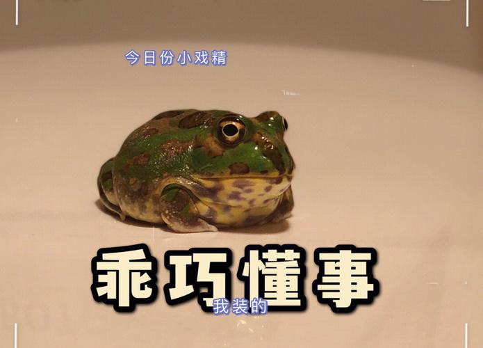 avatar of user 用户858208