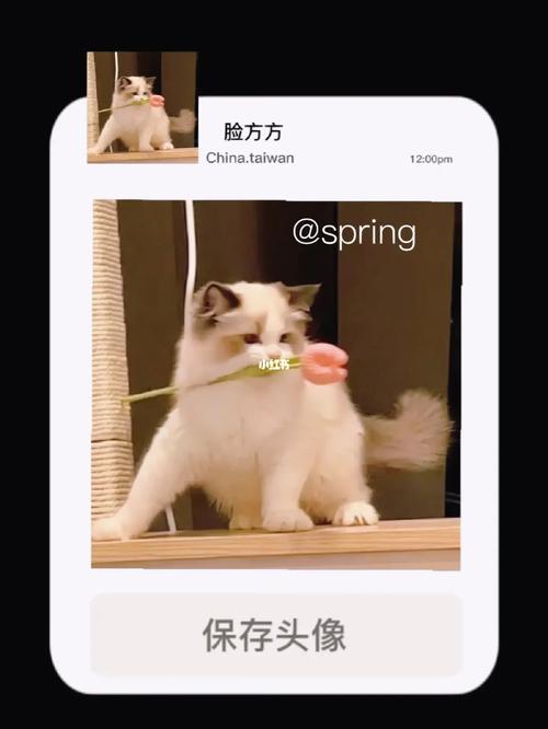 avatar of user 用户677706