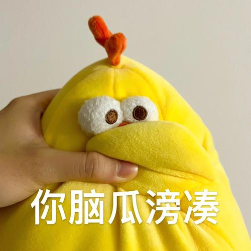 avatar of user 用户587020